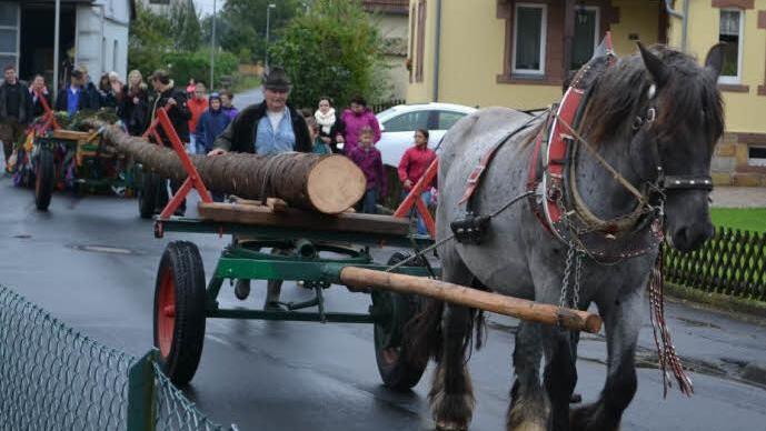Die Burschen des Ortes holten den Plobaum aus dem Wald. Mit einem Zug durchs ganze Dorf wurde er zur Kirche gebracht. Fotos: Reinhold Nickolai