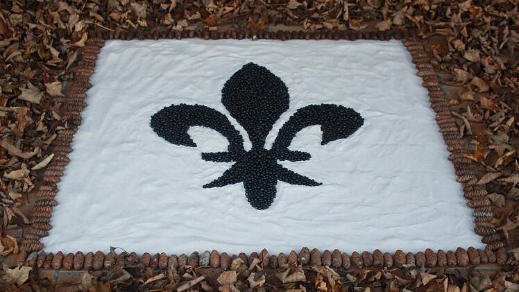 "Queen of the Night"  Foto: Hubert Kolling