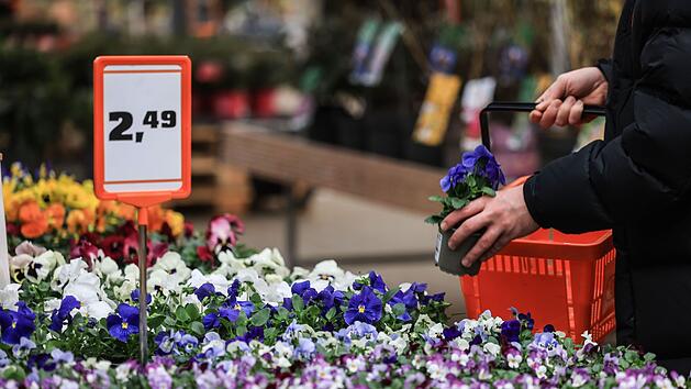 Passend zum Start der Saison: Hornbach, Bauhaus, Globus und Co. startet Revolution im Gartencenter