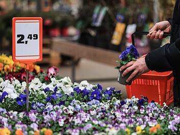 Passend zum Start der Saison: Hornbach, Bauhaus, Globus und Co. startet Revolution im Gartencenter