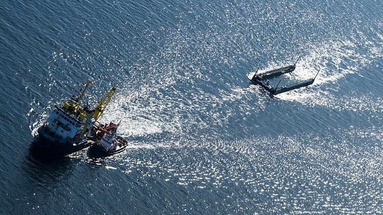 Weitere Entwicklung zum Buckelwal in der Ostsee