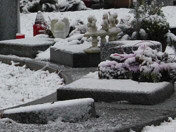 Die Stadtratsmitglieder diskutierten kontrovers über anonyme Gräber. Weiteren Urnenfeldern (wie hier in Kronach) steht das Gremium jedoch recht offen gegenüber. Foto: Marco Meißner