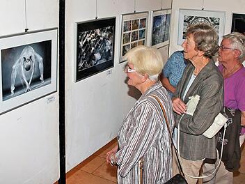 Die Besucher schauten sich bei der Ausstellungseröffnung die Bilder im Obergeschoss des Rathauses genau an und diskutierten gelegentlich auch darüber. Bis zum 28. Juli sind die Aufnahmen zu sehen. Foto: Dieter Britz