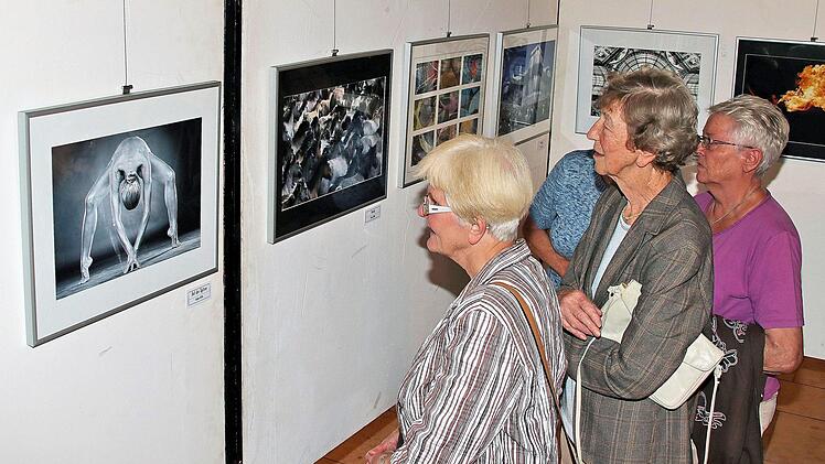 Die Besucher schauten sich bei der Ausstellungseröffnung die Bilder im Obergeschoss des Rathauses genau an und diskutierten gelegentlich auch darüber. Bis zum 28. Juli sind die Aufnahmen zu sehen. Foto: Dieter Britz