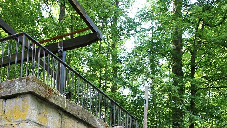 Verschiedene Farbvarianten stehen zur Auswahl - seit Dienstag soll nun eine weitere Holz-Stahl-Variante angefertigt werden. Foto: Ronald Heck