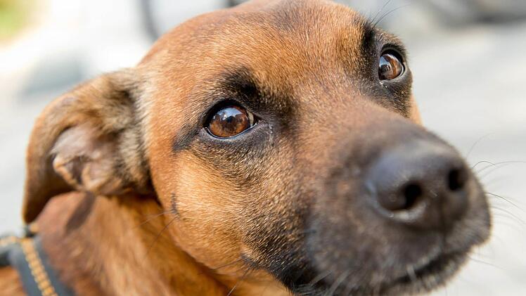 Symbolfoto: Sven Hoppe/dpa