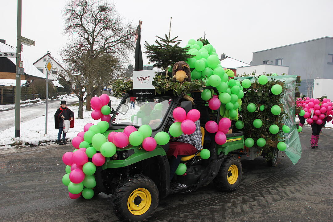 Faschingsumzug in Oberhaid