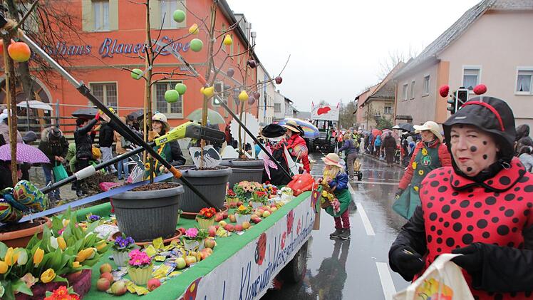 Faschingszug in Höchstadt  Foto: Andreas Dorsch