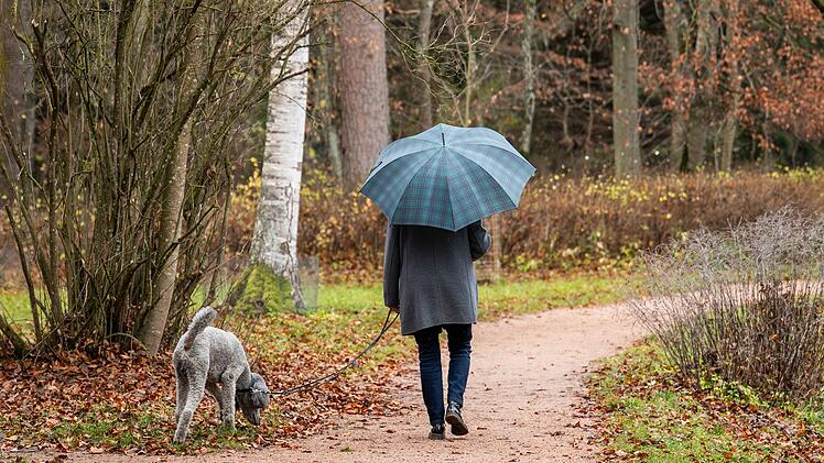 Vors&auml;tze f&uuml;r 2026