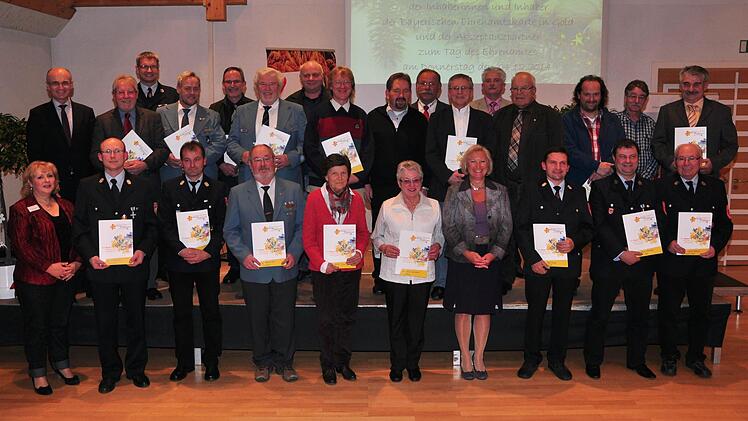 Die Inhaber der Bayerischen Ehrenamtskarte in Gold und die anwesenden Akzeptanzpartner wurden im Landratsamt in Haßfurt auch mit der Dankurkunde des Landkreises ausgezeichnet. Unser Bild zeigt die Geehrten aus Haßfurt, Ermershausen, Hofheim, Riedbach, Ebelsbach und Sand sowie Landrat Wilhelm Schneider (zweite Reihe links, Monika Strätz-Stopfer, Leiterin des Koordinierungszentrums Bürgerschaftliches Engagement am Landratsamt (vorne links) und Regierungsrätin Juliane Freund (vierte von rechts)....