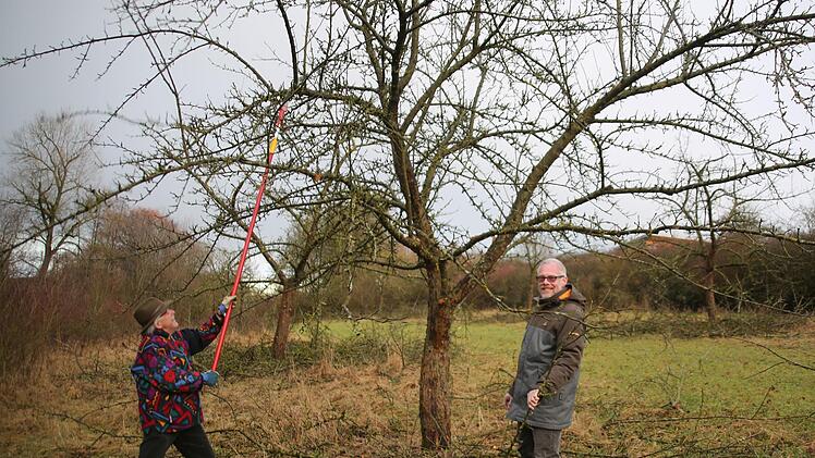 Die Streuobstwiesen zu erhalten, ist Frank Reißenweber vom Landschaftspflegeverband (hier mit Hubert Hannig) für Seßlach wichtig.