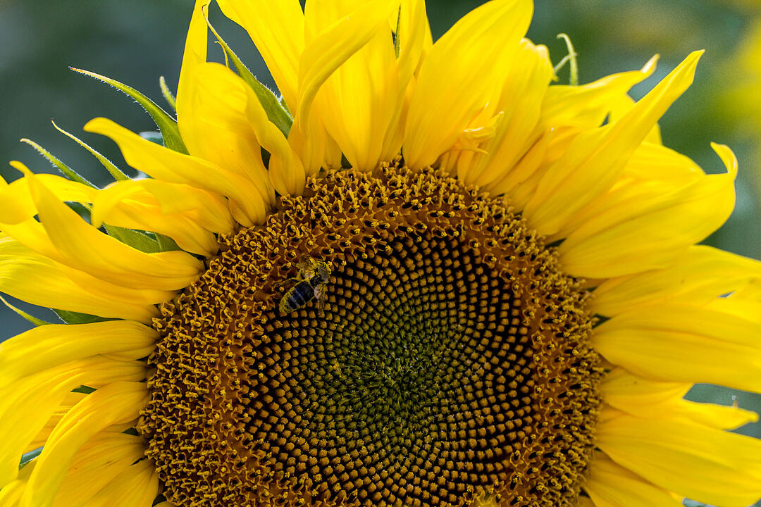 Fotos Konrad Thomann