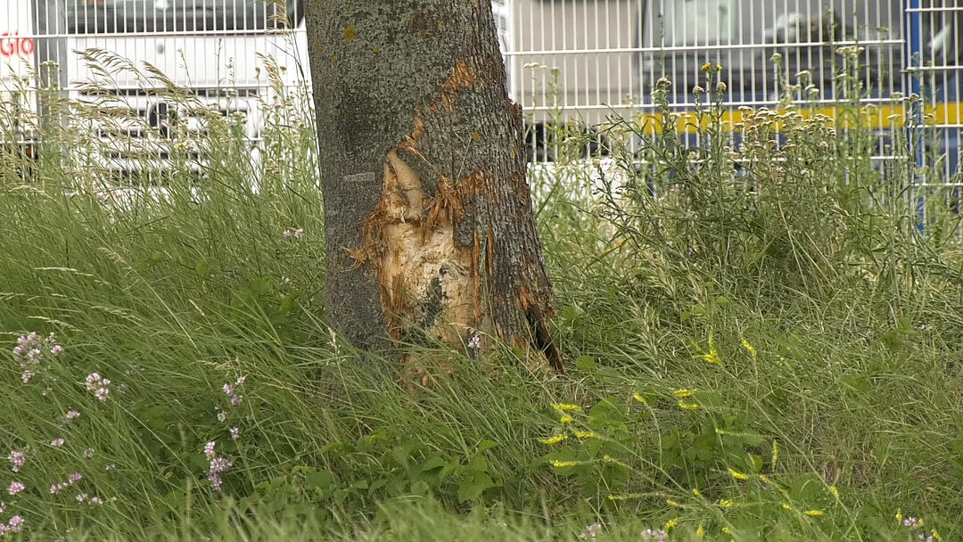Tödlicher Unfall bei Kürnach