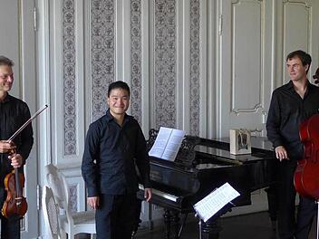 Das "Saxonia Piano Trio" bot einen auserlesenen Konzertnachmittag im Festsaal des Rentweinsdorfer Schlosses der Rotenhans. Foto: Sabine Meißner