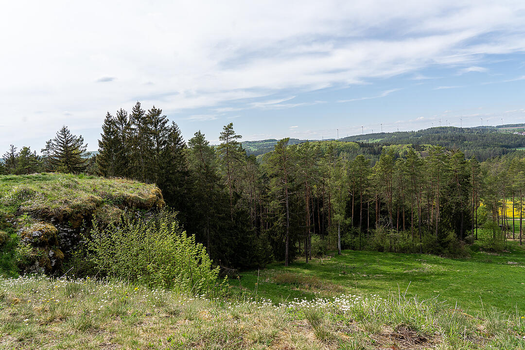 Der große Burgfels dient als toller Aussichtspunkt.