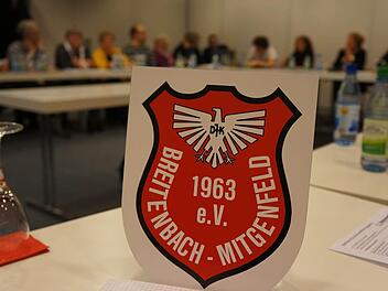 Nicht nur Handwerks- sondern auch Vereinswappen könnten am Zunftbaum hängen, schlug Brückenaus Bürgermeisterin Brigitte Meyerdierks beim Treffen der Vereine vor.Foto: Gerd Schaar