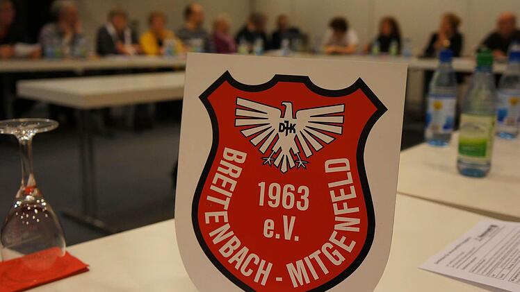 Nicht nur Handwerks- sondern auch Vereinswappen könnten am Zunftbaum hängen, schlug Brückenaus Bürgermeisterin Brigitte Meyerdierks beim Treffen der Vereine vor.Foto: Gerd Schaar