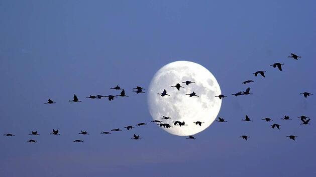 Symbolfoto: Imago/Friederich