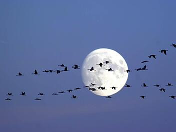Symbolfoto: Imago/Friederich