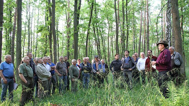 Der WBV-Vorsitzende Bernhard Roppelt beim Ortstermin mit den betroffenen Waldbauern Foto: Mathias Erlwein