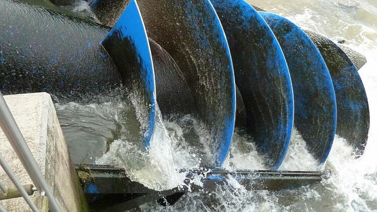 Wasserkraftschnecken neuerer Technik wie diese an der Regnitz will der Betreiber des geplanten Ökostromwerks in Michelau einsetzen. Sie gelten als fischfreundlicher als Turbinen. Zu Verletzungen und Tötungen kann es trotzdem kommen, so kritische Stimmen.  Foto: Ingenieurbürp Müller Kalchreuth