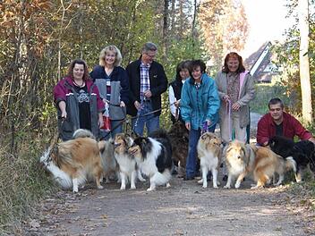 Die Besitzer dieser Collies achten darauf, dass "Nicht-Hundebesitzer" von ihren Vierbeinern nicht gestört werden.  Foto: Pauline Lindner