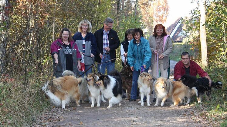Die Besitzer dieser Collies achten darauf, dass "Nicht-Hundebesitzer" von ihren Vierbeinern nicht gestört werden.  Foto: Pauline Lindner