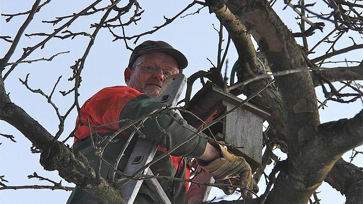 In luftiger Höhe säubert Otmar Koberstein die Nistkästen auf seinem Grundstück in Völkersleier.