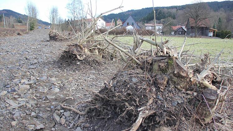 Foto: Friedwald Schedel