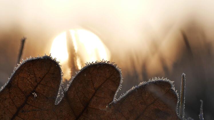 Die Märzsonne scheint zwar, aber der erste Blick täuscht. Es ist warm anziehen angesagt bei diesen Minusgraden. Symbolfoto: Aaron Burden/Unsplash