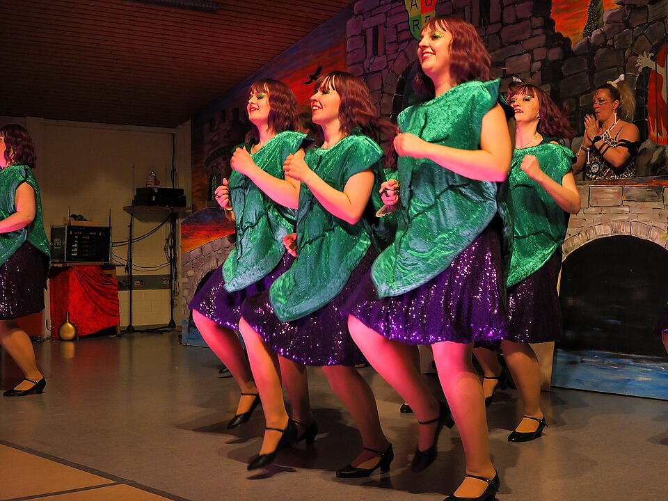 Fasching 2025 im Landkreis Bad Kissingen.