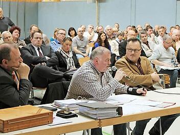 Der ehemalige Lonnerstadter Bürgermeister vertrat die Interessen der angrenzenden Gemeinden. Foto: Andreas Dorsch