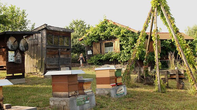 Eine Naturidylle bieten Lehrbienenstand, Bienen- und Streuobstlehrpfad.