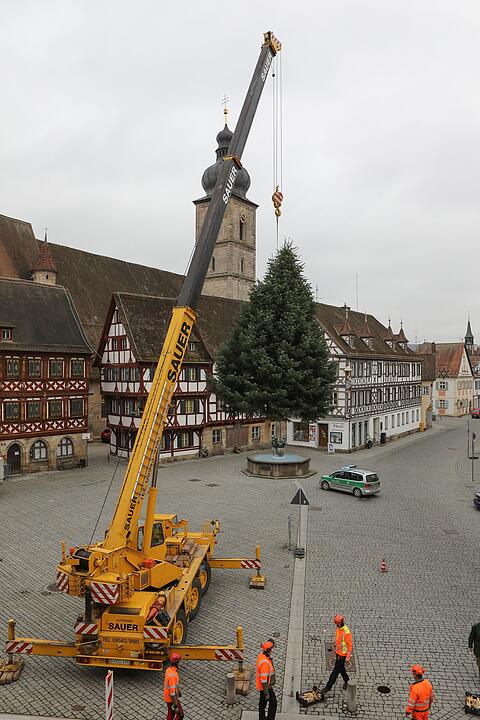 Christbaum kommt aus Schlaifhausen  auf den Forchheimer Rathausplatz