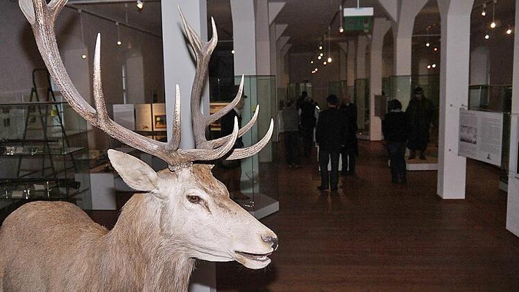 Der Museumshirsch hat schon Abschied genommen - aber noch immer stehen im Jagd- und Fischereimuseum Exponate, die einen neuen Herren suchen. Foto: Berthold Köhler