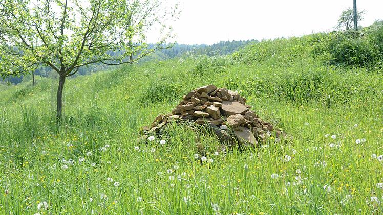Steinhaufen sind wertvolle Lebensräume für viele Tiere und tragen zum biologischen Gleichgewicht bei. Foto: Dagmar Besand