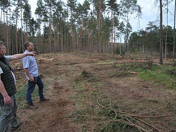 Als ein Paradebeispiel für ein gemeinsames Vorgehen gegen den Borkenkäfer bezeichneten WBV-Geschäftsführer Manfred Herter (links) und sein Stellvertreter Ralf Keller das Vorgehen im Wald zwischen Neundorf und Seßlach. Hier haben sich sechs Waldbesitzer zusammengeschlossen und 1100 Festmeter Schadholz durch die WBV entnehmen lassen. Foto: Martin Rebhan