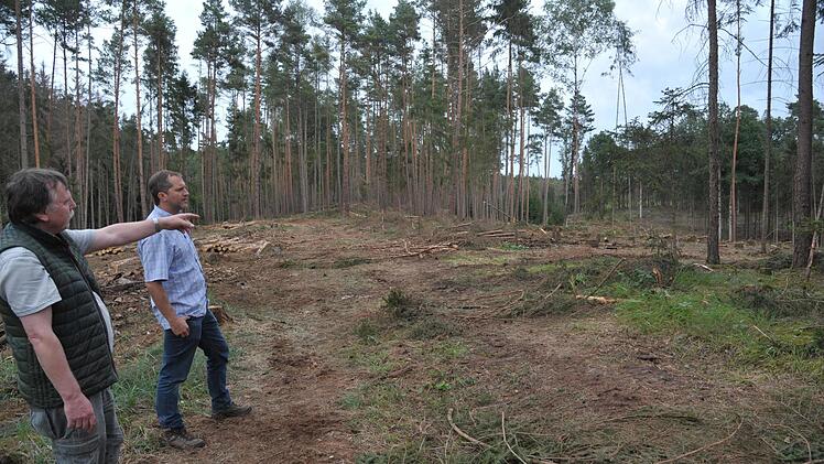Als ein Paradebeispiel für ein gemeinsames Vorgehen gegen den Borkenkäfer bezeichneten WBV-Geschäftsführer Manfred Herter (links) und sein Stellvertreter Ralf Keller das Vorgehen im Wald zwischen Neundorf und Seßlach. Hier haben sich sechs Waldbesitzer zusammengeschlossen und 1100 Festmeter Schadholz durch die WBV entnehmen lassen. Foto: Martin Rebhan