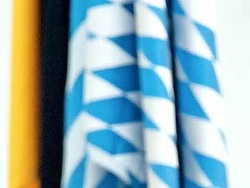 Bayerns Justizminister Winfried Bausback (CSU) bei einer Sitzung im bayerischen Landtag Foto: Peter Kneffel, dpa
