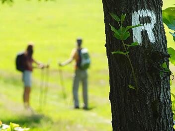Wanderer auf dem Rennsteig Foto: Archiv