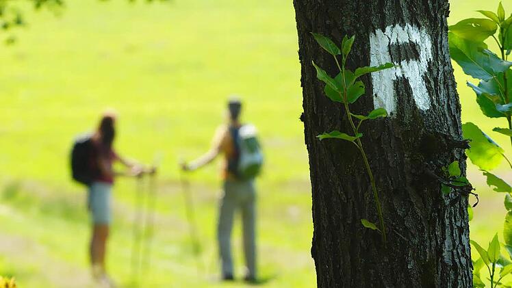 Wanderer auf dem Rennsteig Foto: Archiv