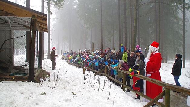 Mehlmeisel: Weihnachten im Wildpark - freier Eintritt, hoher Besuch und mehr