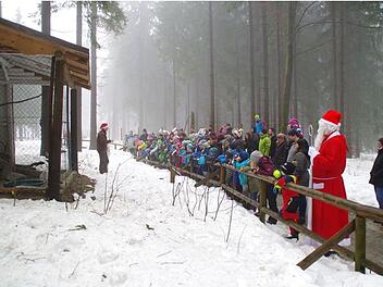 Mehlmeisel: Weihnachten im Wildpark - freier Eintritt, hoher Besuch und mehr