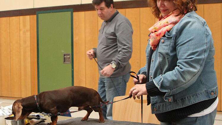Max von Himmelstor" und sein Frauchen, Barbara Hofmann aus Baunach Foto: Günther Geiling