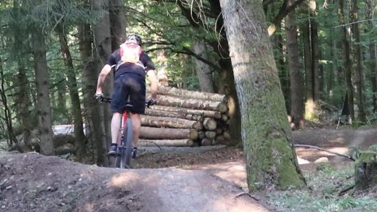 Der Flowtrail Kreuzberg bei Bischofsheim ist eine gebaute Abfahrtsstrecke f&uuml;r Mountainbiker.  Foto: Anja Behringer