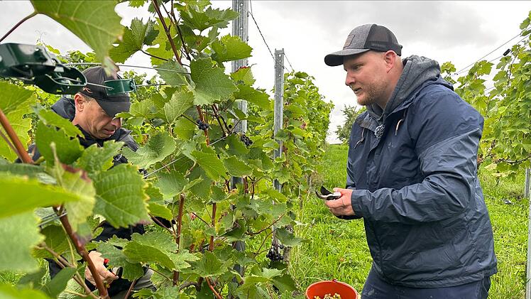 Parasportler Christian Schmiedt liebt seine Arbeit als Hobby-Winzer.