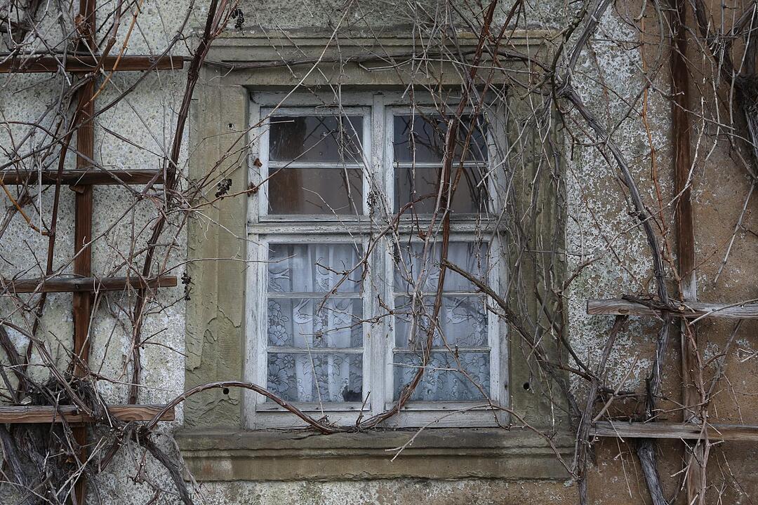 Pautzfeld; Gemeindeseite; Landkreis Forchheim; Foto: Barbara Herbst