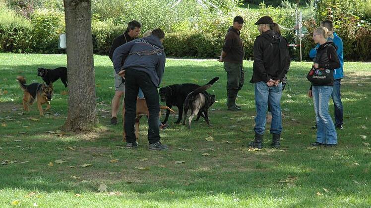 Gemeinsam auf der Wiese tollen macht richtig Spaß. Foto: Edwin Meißinger