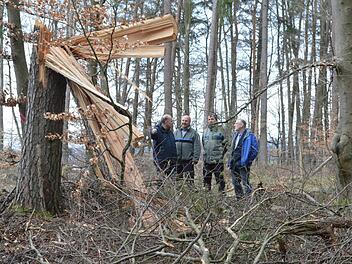 Ein Rotmilan-Horst kam im Stralsbacher Wald zu Schaden. Michael Geier, Verwaltungschef des bayerischen Teils des Biosph&auml;renreservats (von links), Bernhard Z&uuml;rner vom Forstamt, Revierleiter Joachim Dahmer und Burkardroths B&uuml;rgermeister Waldemar Bug erkl&auml;rten in der Waldabteilung die Hintergr&uuml;nde.  Foto: Michael N&ouml;th