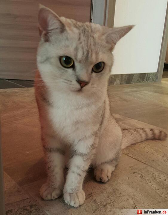 Foto: Christian Schuster